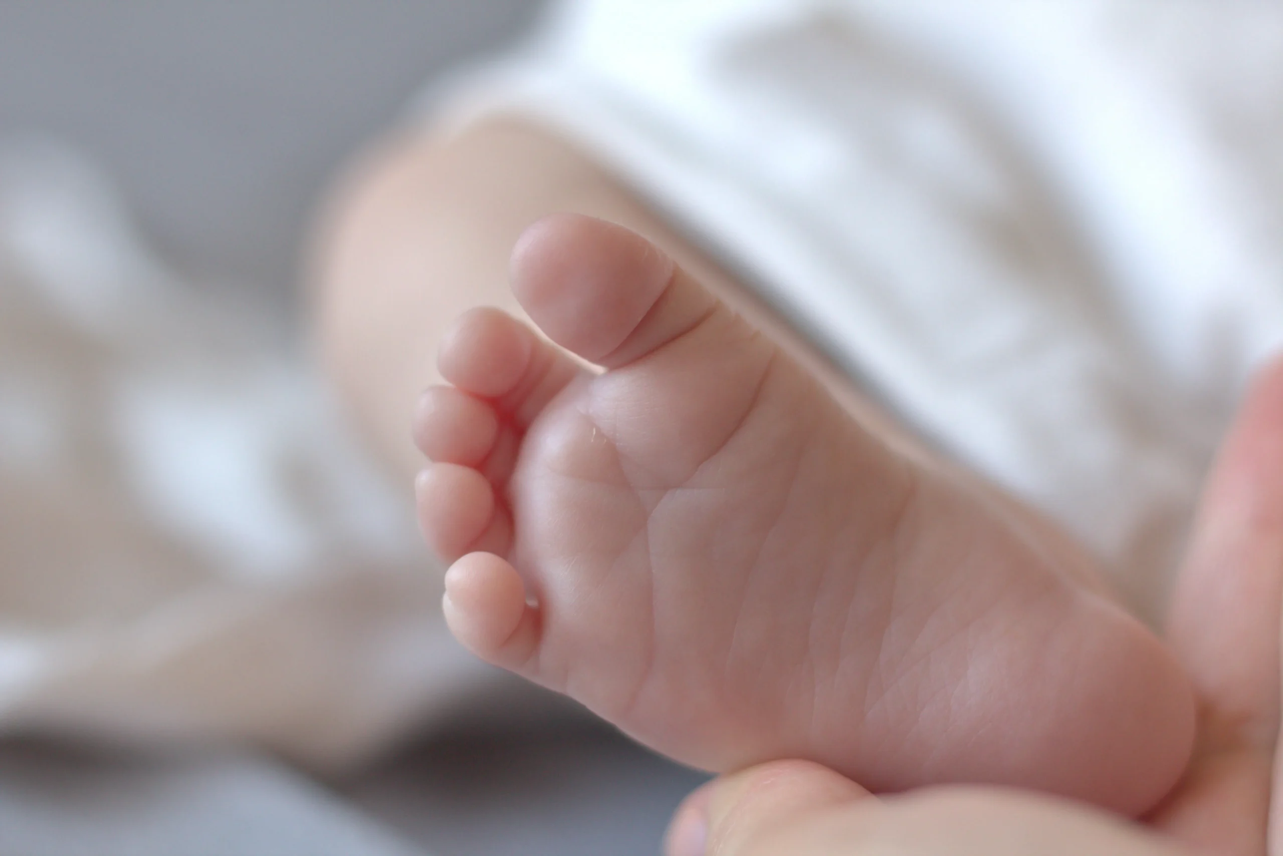 Újszülött kisbaba apró talpa egy felnőtt tenyerében, tökéletes ajándékötlet.